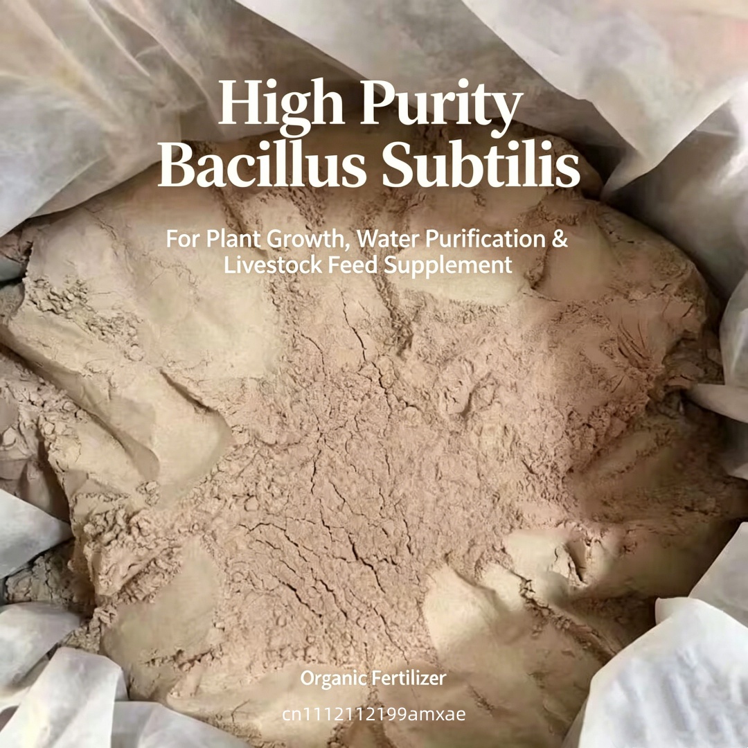 Aquarium Plant Liquid Fertilizer - Organic Bacillus Subtilis Probiotic Powder Fertilizer