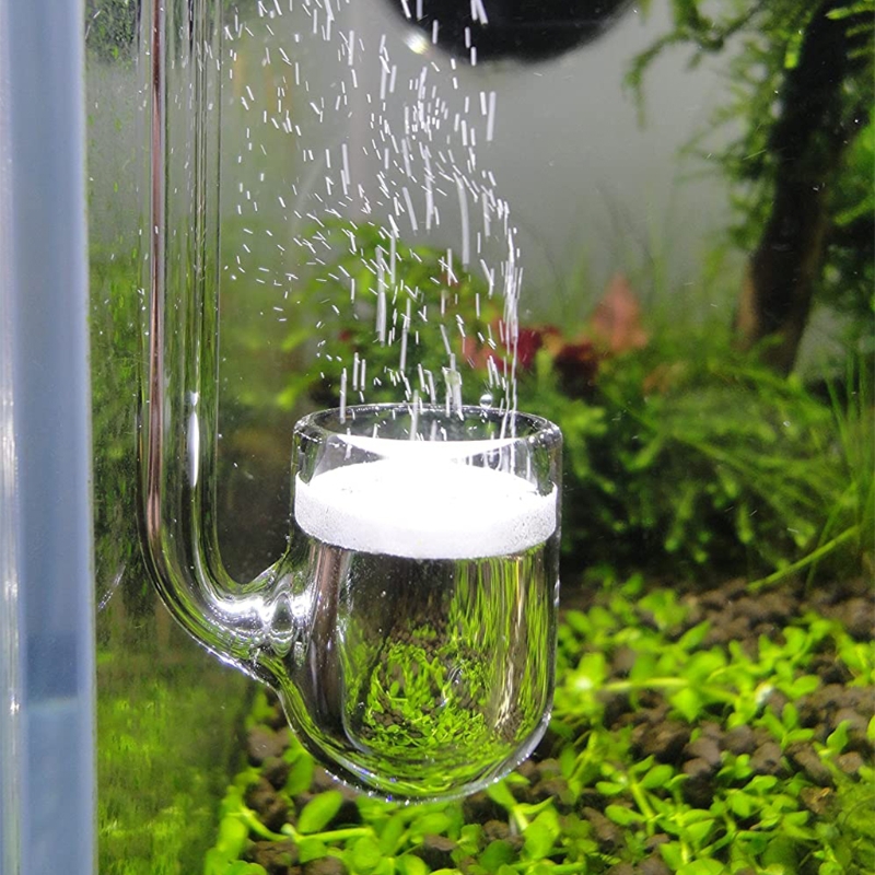 D0AD Glass CO2 Diffuser for Aq - огляд і ціна Aquarium Plant No Co2