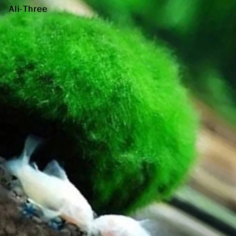1Pcs 3-4cm Moss Balls Live Aqu - огляд і ціна Aquarium Planted Tank Substrate