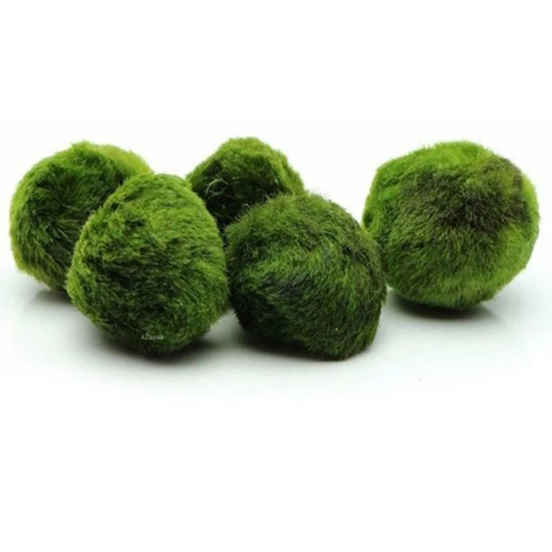 1Pcs 3-4cm Moss Balls Live Aqu - огляд і ціна Aquarium Planted Tank Substrate