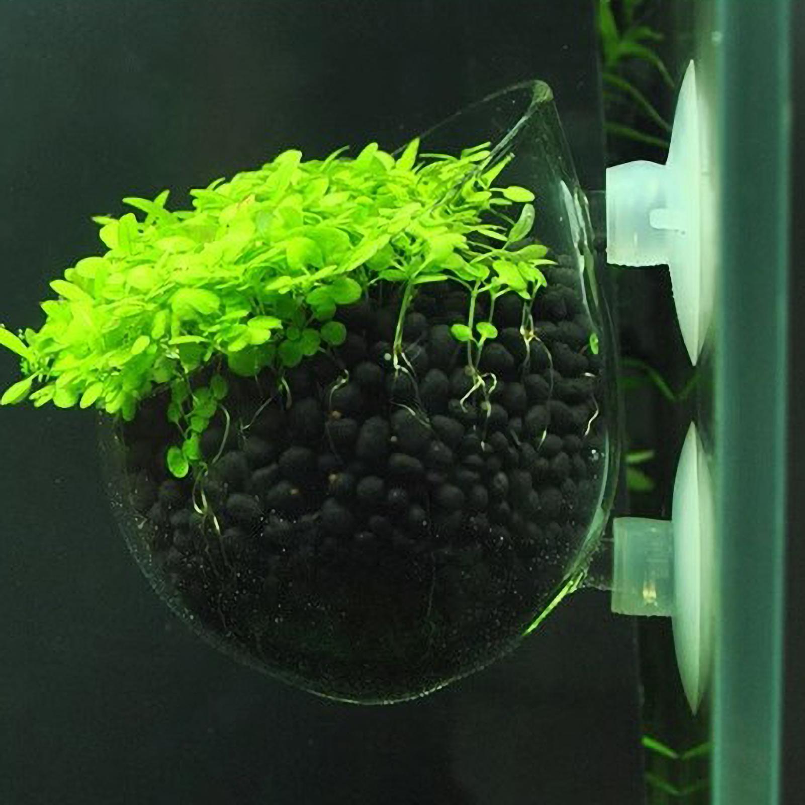 Aquarium Plant Holder Glass Aq - огляд і ціна Aquarium Planted Tank Substrate