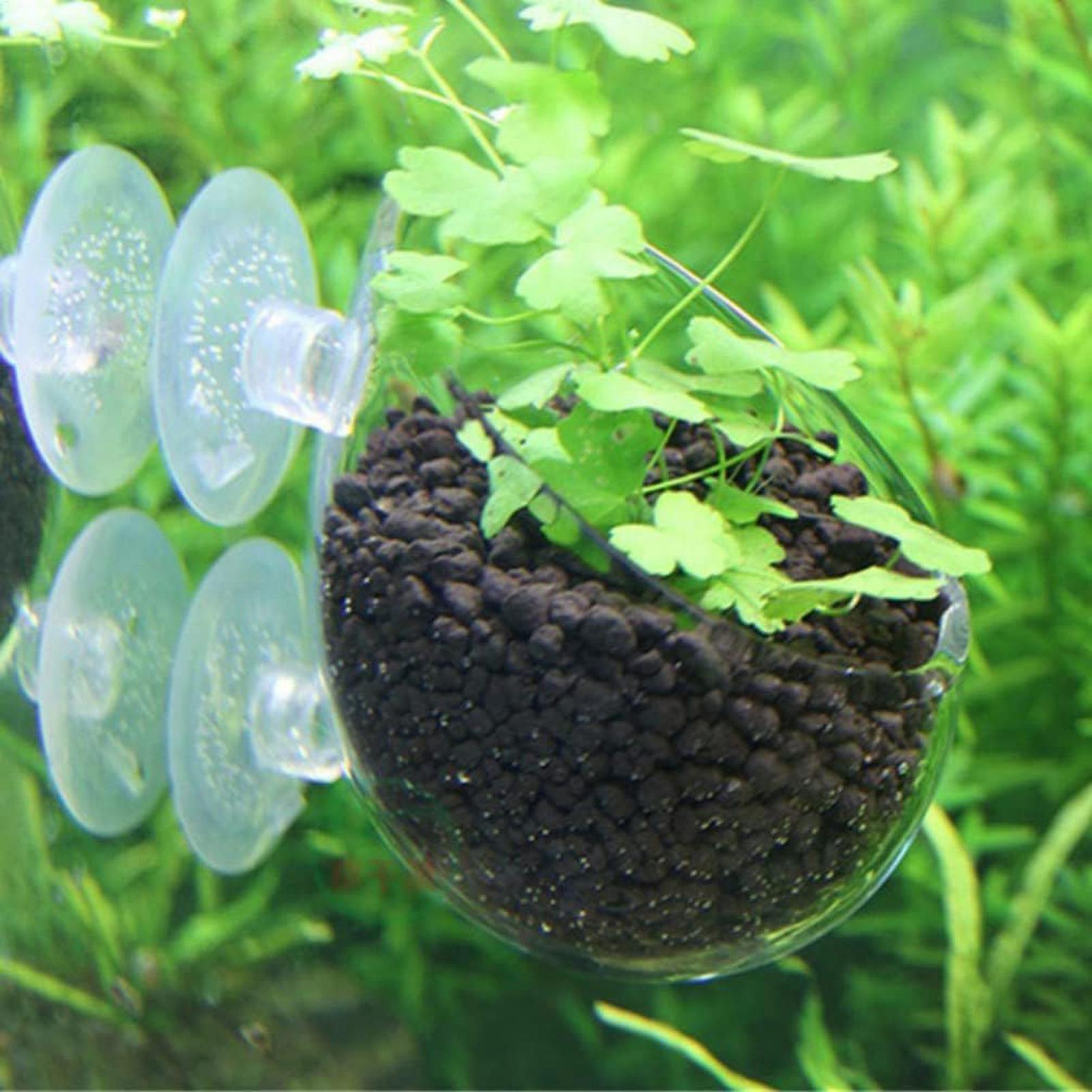 Aquarium Plant Holder Glass Aq - огляд і ціна Aquarium Planted Tank Substrate