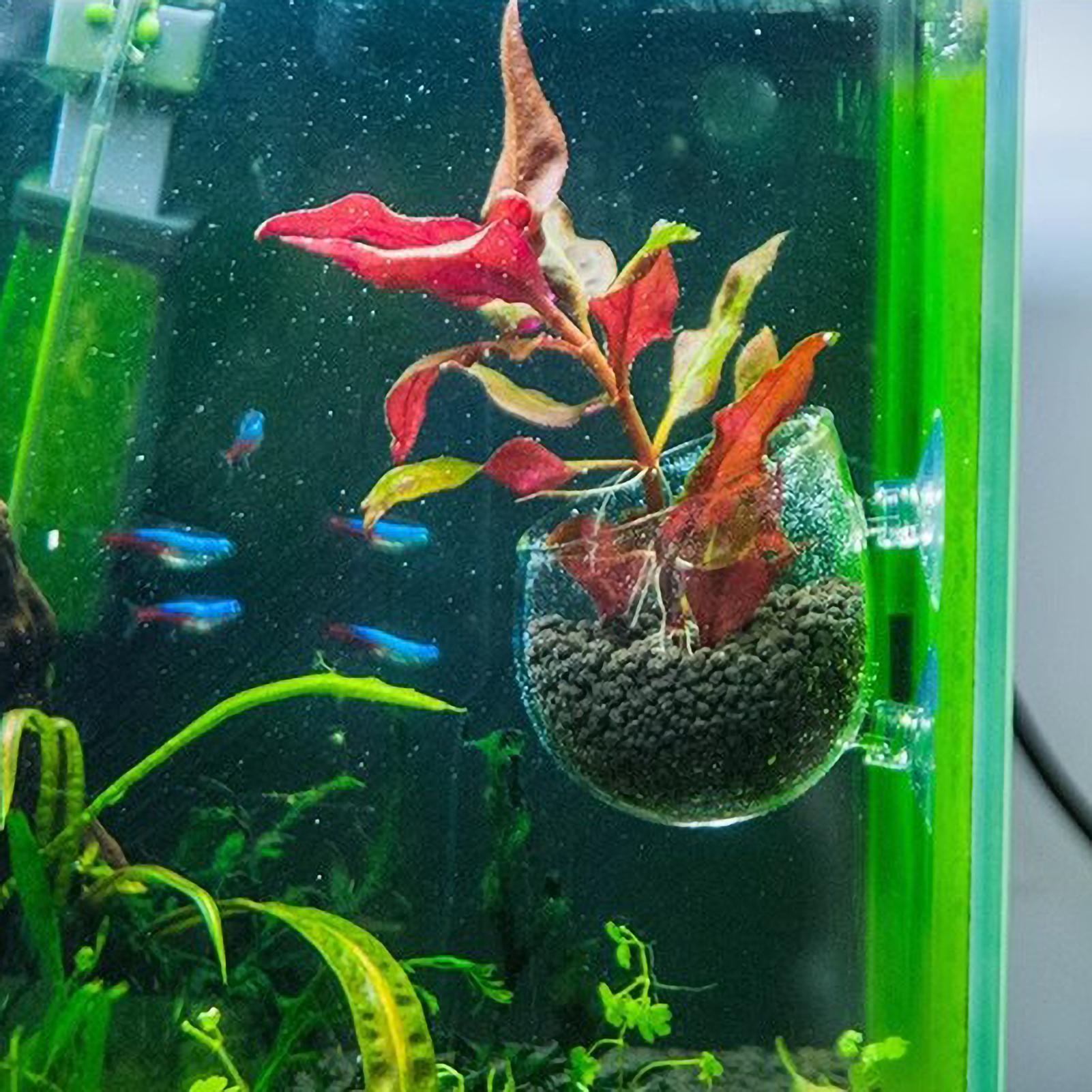 Aquarium Plant Holder Glass Aq - огляд і ціна Aquarium Planted Tank Substrate