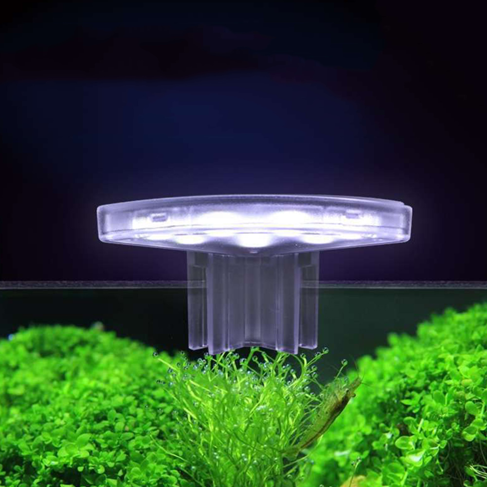 LED Plants Grow Lamp Energy-Ef - огляд і ціна Aquarium Plant Easy To Grow