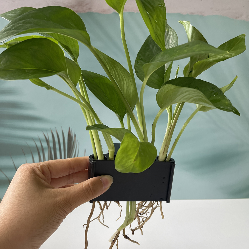 Aquarium Plant Holder with Han - огляд і ціна Aquarium Planted Tank Substrate