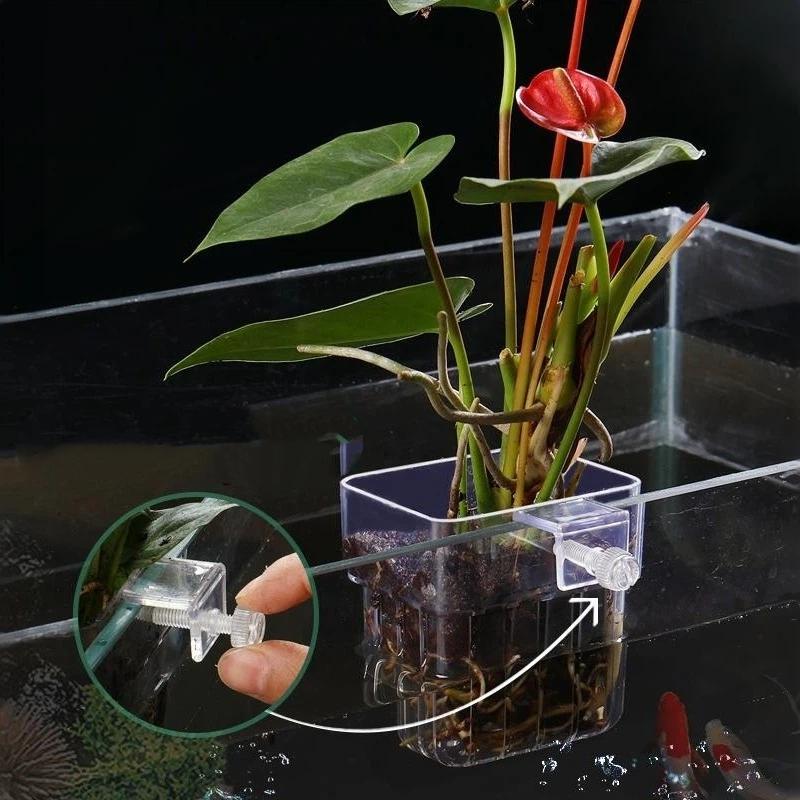 Clear Hangable Aquarium Plant  - огляд і ціна Aquarium Plant Easy To Grow