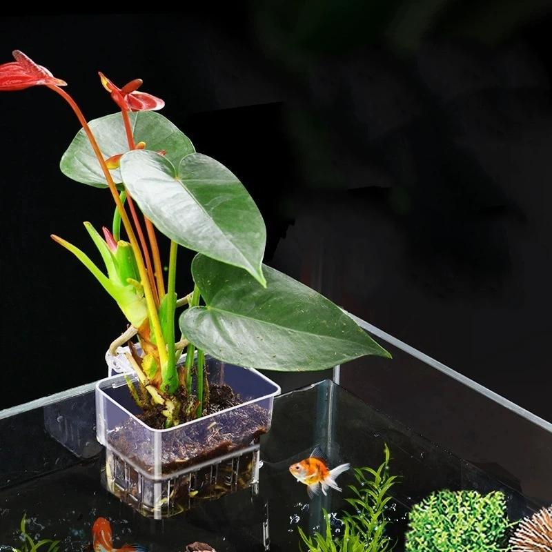 Clear Hangable Aquarium Plant  - огляд і ціна Aquarium Plant Easy To Grow