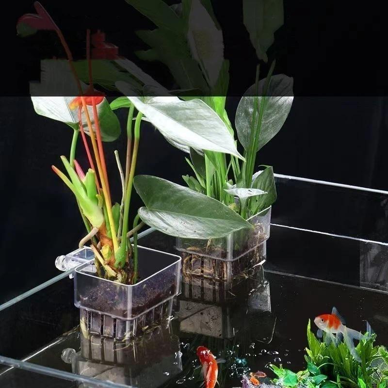 Clear Hangable Aquarium Plant  - огляд і ціна Aquarium Plant Easy To Grow