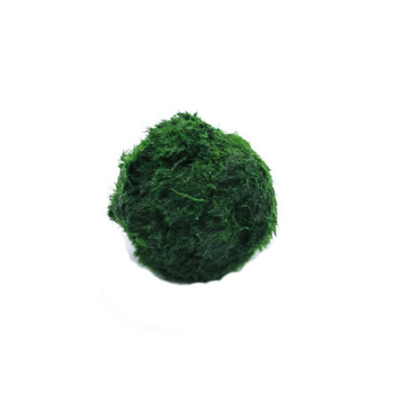 Marimo Moss Balls Live Aquariu - огляд і ціна Aquarium Planted Tank Substrate