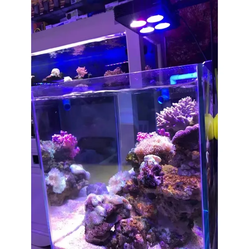 Gako A052 52w Hot Sale Aquariu - огляд і ціна Planted Aquarium For Sale