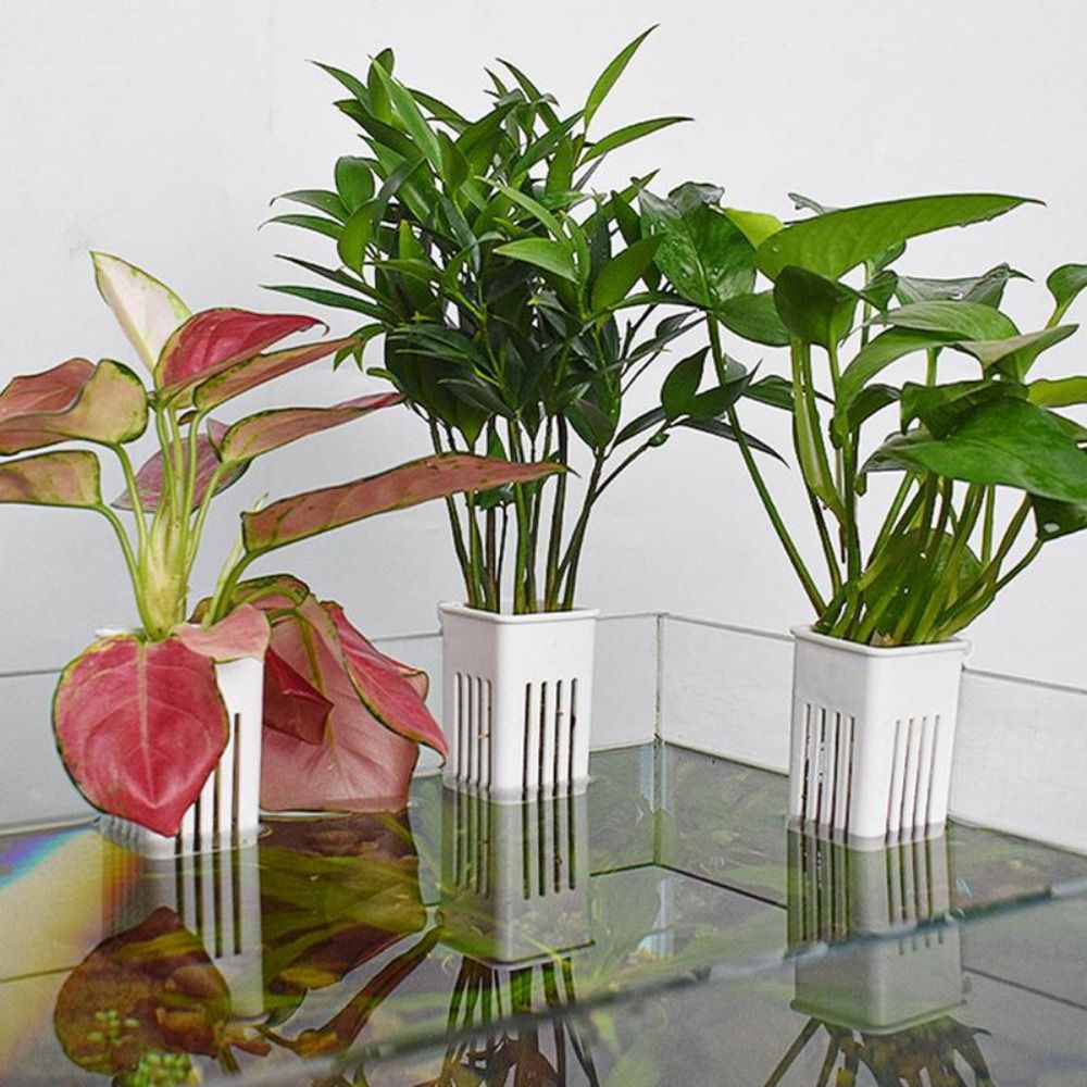 Plastic Aquarium Plant Basket  - огляд і ціна Aquarium Plant Easy To Grow