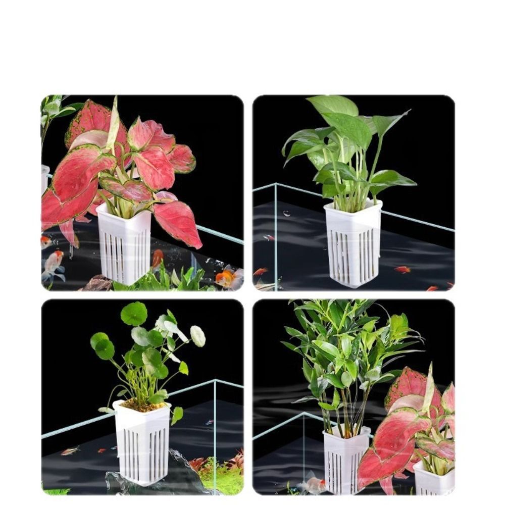 Plastic Aquarium Plant Basket  - огляд і ціна Aquarium Plant Easy To Grow
