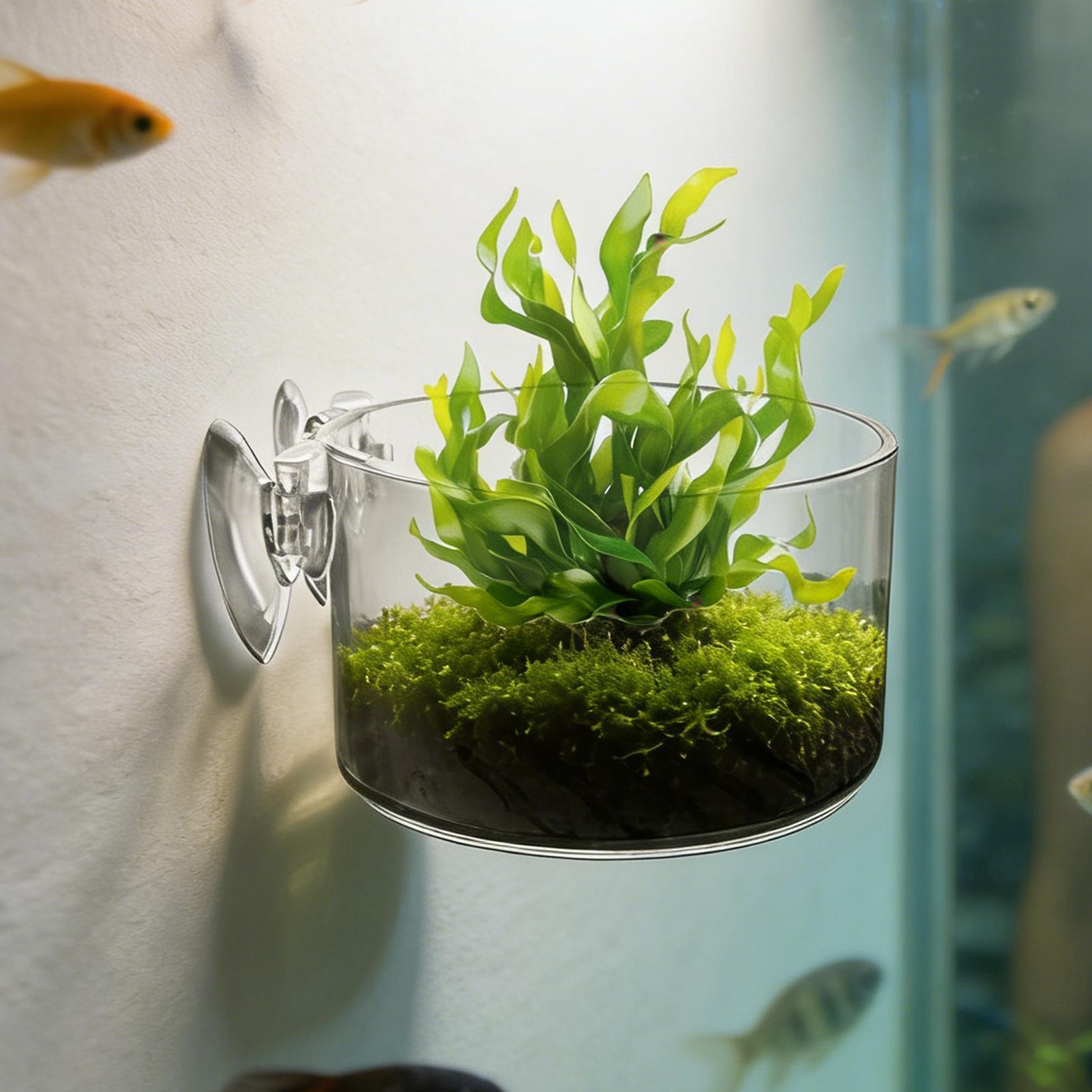 Aquarium Plant Holder Acrylic  - огляд і ціна Aquarium Planted Background