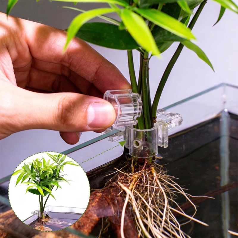 Hot Sale 6pcs Clear Aquarium P - огляд і ціна Planted Aquarium For Sale