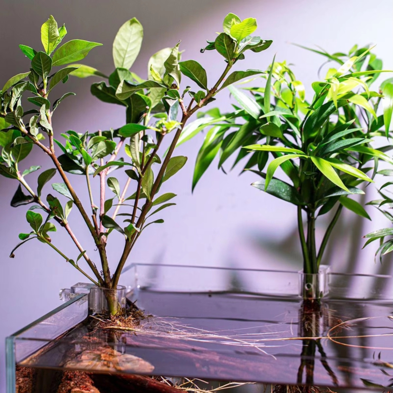Hot Sale 6pcs Clear Aquarium P - огляд і ціна Planted Aquarium For Sale